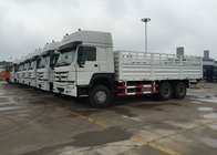 Multi - Doel Large Cargo Van Truck 25 - 45 Ton van 6X4 LHD Euro 2 336HP