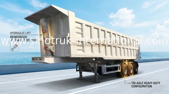 De Semi Aanhangwagen van de metaal60t Douane, Semi Lage Lader voor Grote Ladingscapaciteit