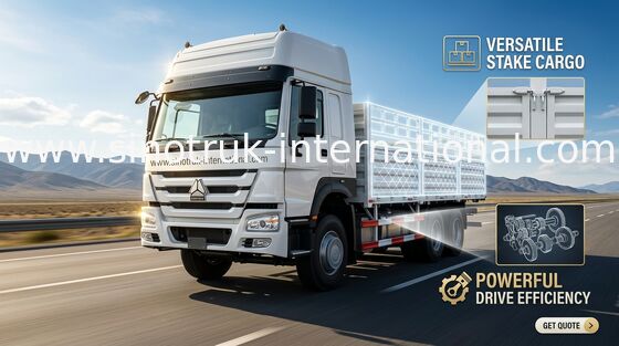 25 - 40 van de Commerciële de Vrachtwagen Radiale Ton Band van Ladingsbestelwagens voor Vervoer van Lichte Goederen