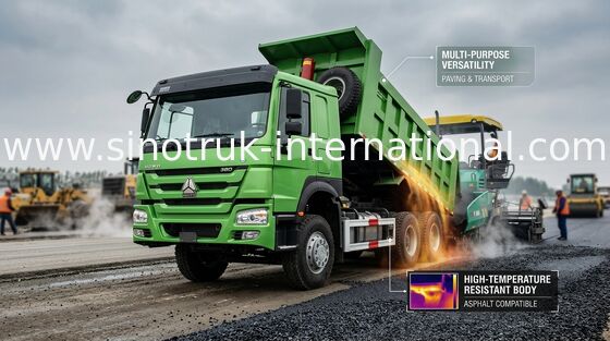 Groene Vrachtwagen van de de Kippersstortplaats van Kleurenchassis 371HP 12 rijdt LHD 60 - 70 Ton van 28CBM