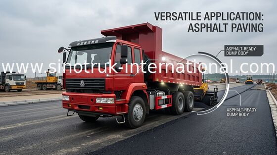 SINOTRUK gouden Vrachtwagen van de Prinskipper 290 HP 10 - Zware de Stortplaatsvrachtwagen van 25CBM ZZ3251M3241W