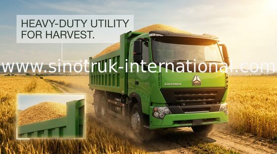 Zware de Stortplaatsvrachtwagen RHD 6X4 van SINOTRUK HOWO voor Bouwmaterialenlading