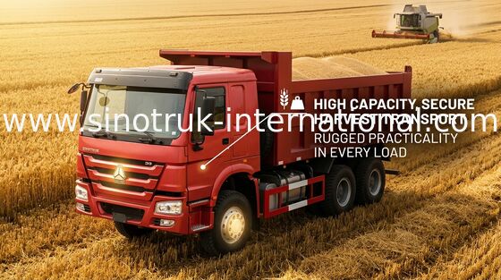 De Stortplaatsvrachtwagen LHD 371 HP van Sinotrukhowo 25 - 40 van de Euro 2 Zware Stortplaatston Vrachtwagen