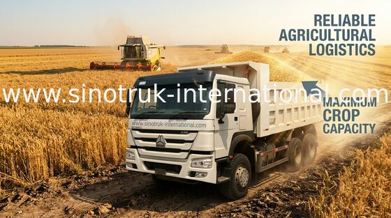De hydraulische Stortplaats van de Leidingskipper de Vrachtwagen van de Vrachtwagen/Tien Speculant Stortplaats voor Dokken 25000 Kg