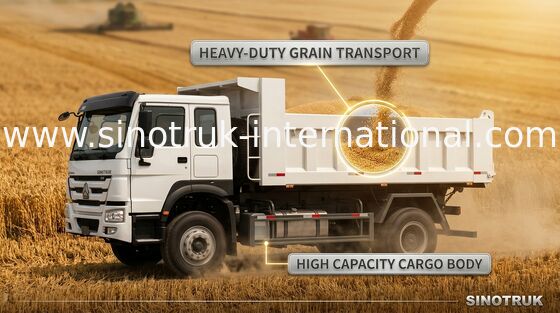 Gouden de Stortplaatsvrachtwagen 290HP 4X2 LHD 16tons 9-13CBM ZZ3161M3811C1 van de Prinssinotruk Kipper