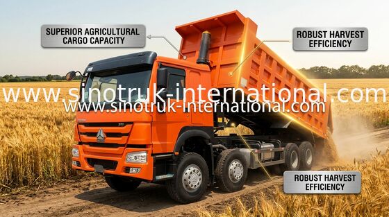 Kippersvrachtwagen SINOTRUK HOWO 371HP 12 Wielen LHD 31 Ton van 20-30CBM ZZ3317N3567W