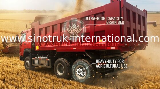 De Stortplaatsvrachtwagen van LHD 6X4 SINOTRUK HOWO met MINIspeler 30 - 40 Tonwd615.47 Motor