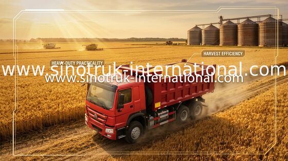 Hoogste Configuratie Tien de Vrachtwagen Hydraulische Leiding van de Speculantstortplaats met Machtshulp