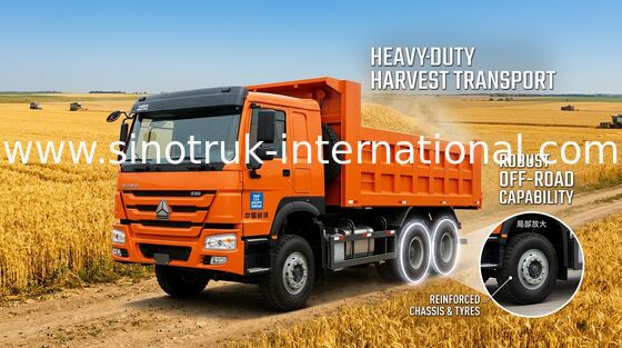 371HP 10 de Vrachtwagencapaciteit van de Speculantstortplaats 30 - 40 T 75 het Lage Brandstofverbruik van Km/H