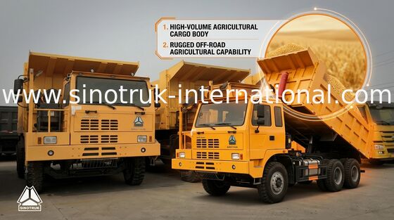 De hoge Vrachtwagens van de de Kolenmijnstortplaats van de Ladingscapaciteit 70 Ton met SGS ISO