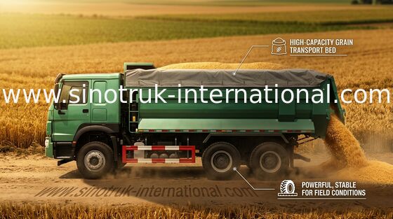 Openbare Werken de Vrachtwagen van de Kippersstortplaats/HOWO-Kippersvrachtwagen 6X4 LHD 25 Ton 10 - 25 CBM