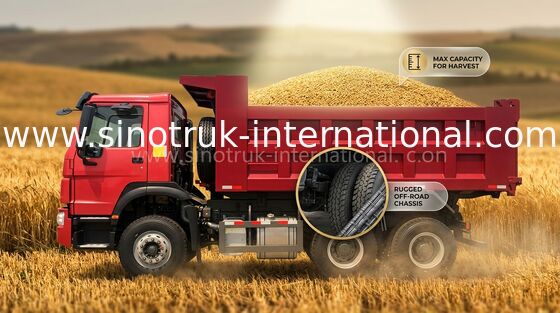 40 ton Euro II Vrachtwagen van de Kippersstortplaats 10 - 25CBM-Dieselmotor Laag Brandstofverbruik