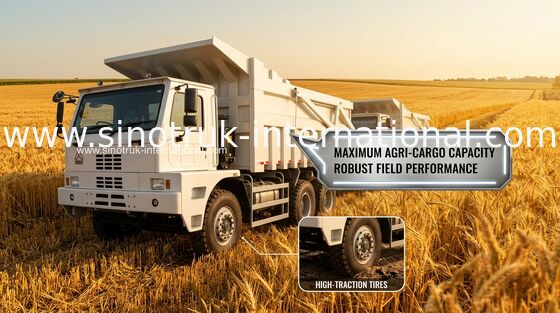 70 van de de Vrachtwagensinotruk HOWO70 ton Mijnbouw LHD 6X4 420HP van de Kippersstortplaats