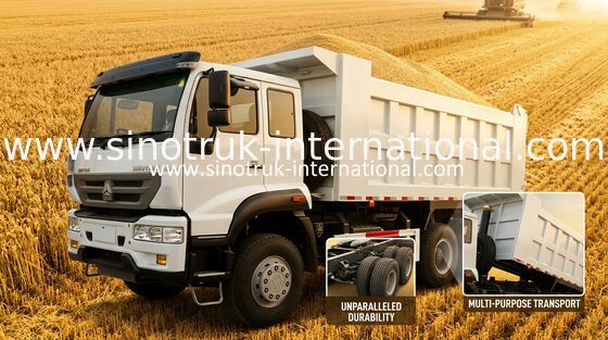 SINOTRUK de gouden Vrachtwagen van de Prinsstortplaats 10Wheels 336HP LHD 25-30tons ZZ3251N3641W