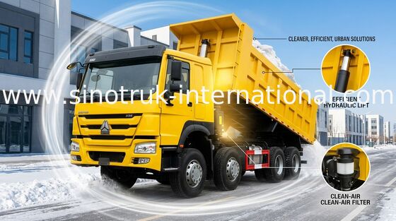 De Stortplaatsvrachtwagen 371HP 12wheels LHD 31tons 20-30CBM ZZ3317N3267W van SINOTRUK HOWO