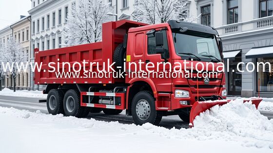 De Stortplaatsvrachtwagen 290HP 10Wheels LHD 25-40tons 10-25CBM ZZ3257M2947A van SINOTRUK HOWO