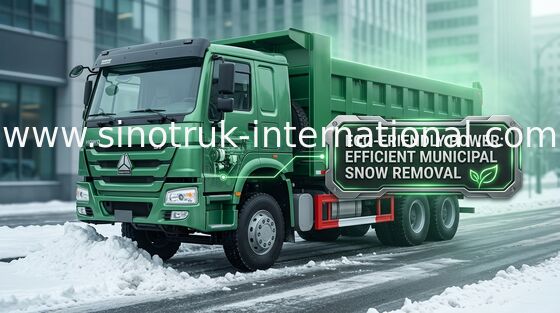 De Vrachtwagen van de de Kippersstortplaats van SINOTRUK HOWO 371HP 8X4 LHD 31tons 20-30CBM ZZ3317N3267W
