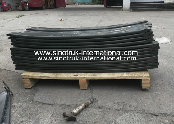 HOWO 25 Ton die de Lentes van het de Vervangstukken Terug Blad van de Stortplaatsvrachtwagen WG9725520286 ontginnen