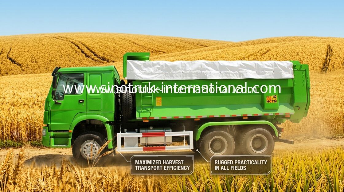 Gemeentelijke Op zwaar werk berekende de Vrachtwagensinotruk HOWO LHD 336HP 10 Wielen van de Kippersstortplaats