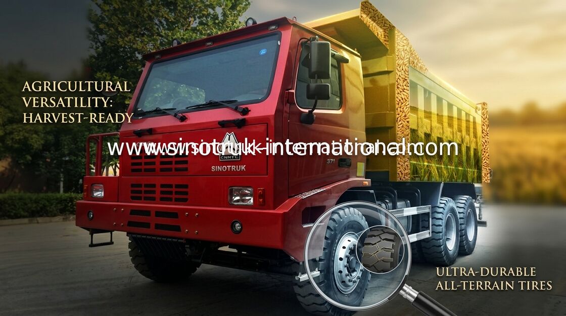 Gekleurde de Stortplaatsvrachtwagen van SINOTRUK HOWO 6x4/HOWO-Kippersvrachtwagen voor Mijnbouw