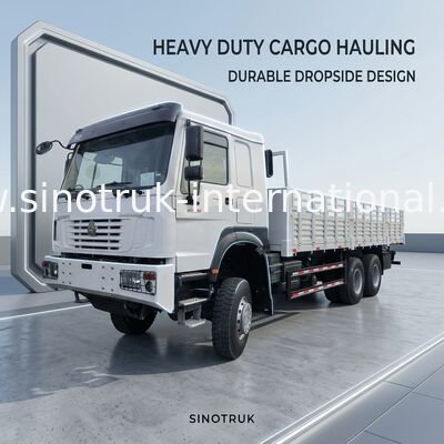 Sinotruk Howo Brand New Cargo Truck 6 × 6 All Wheel Drive Lhd 10 Wheels Long Cargo Box