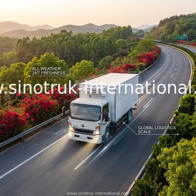 SINOTRUK HOWO 10 ton Gekoelde Vrachtwagen 160HP RHD