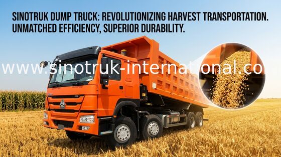 Stortplaatsvrachtwagen SINOTRUK HOWO 371HP 12 Wielen LHD 31tons 20-30CBM ZZ3317N3867W